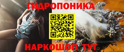 2c-b Камышлов