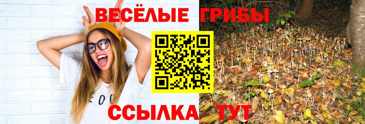 Псилоцибиновые грибы Magic Shrooms Красноармейск