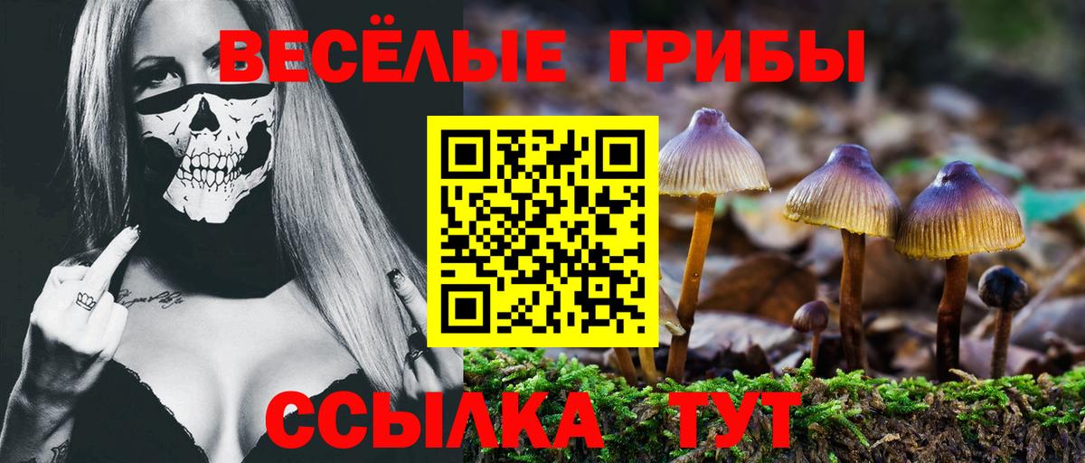 Красноармейск  Галлюциногенные грибы мухоморы  Вход с VPN 